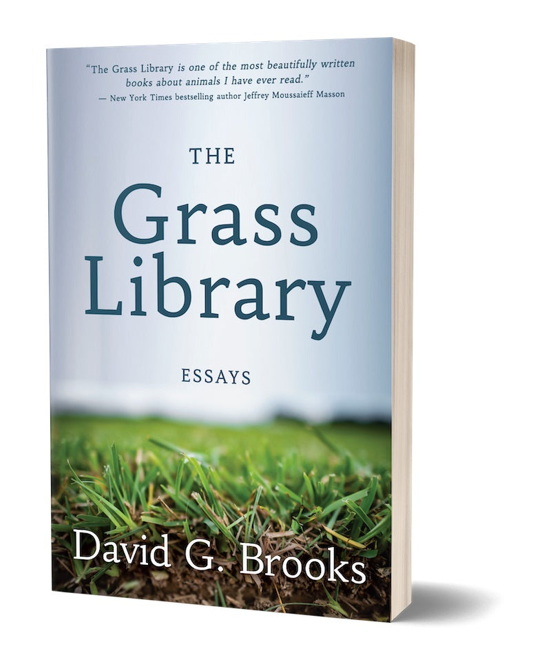 The Grass Library, by David Brooks